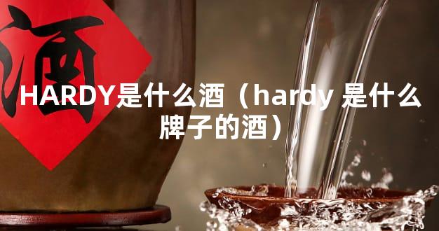 HARDY是什么酒（hardy 是什么牌子的酒）